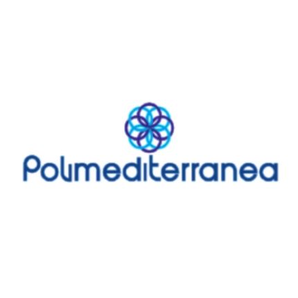 Logotyp från Polimediterranea