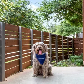 All first-floor apartment homes feature a walk-out private patio with a yard at Camden Henderson in Dallas, TX