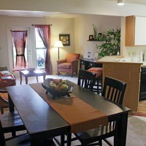 Living/Dining Area and Kitchen