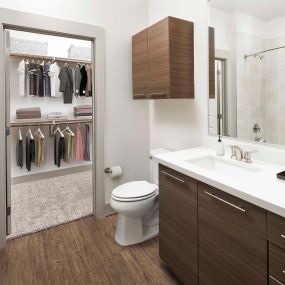 Bathroom with attached walk-in closet at Camden Lincoln Station Apartments in Lone Tree, CO