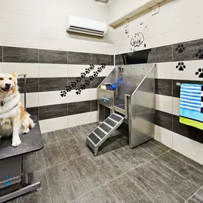 Private dog spa at Camden Lincoln Station Apartments in Lone Tree, CO