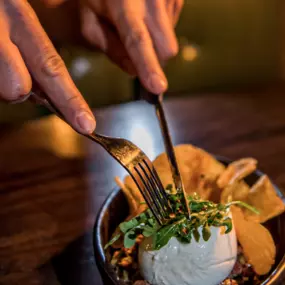 Fresh burrata and house-made chips