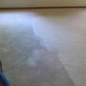 Bild von Wolf Brothers Carpet Cleaning