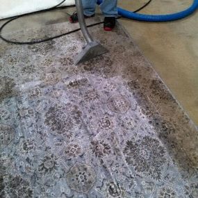 Bild von Wolf Brothers Carpet Cleaning