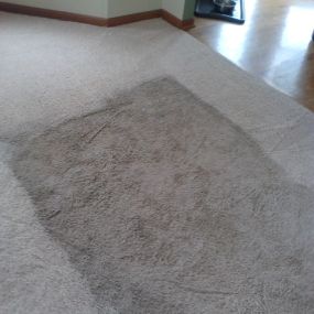 Bild von Wolf Brothers Carpet Cleaning
