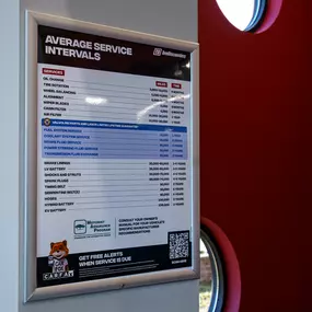 Bild von Tire Discounters