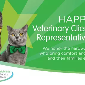 Bild von Red Bank Veterinary Hospital (RBVH) - Hillsborough