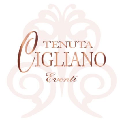 Logo from Tenuta Cigliano Eventi