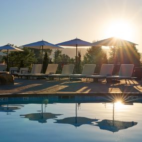 Pool Lounge Chairs