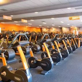 Bild von Basic-Fit 24/7