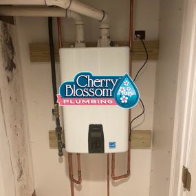 Bild von Cherry Blossom Plumbing