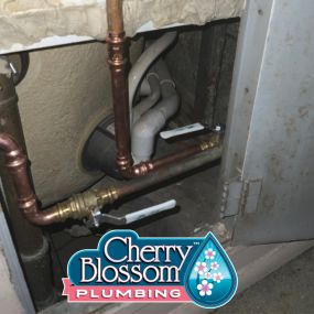 Bild von Cherry Blossom Plumbing