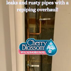 Bild von Cherry Blossom Plumbing