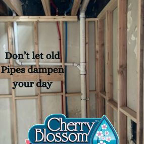 Bild von Cherry Blossom Plumbing