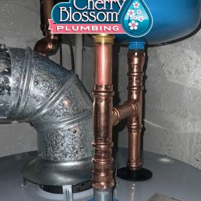 Bild von Cherry Blossom Plumbing