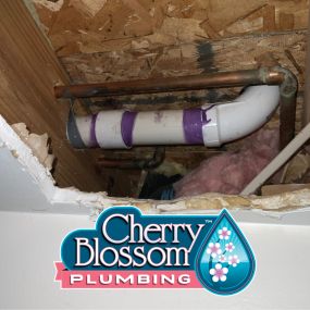 Bild von Cherry Blossom Plumbing