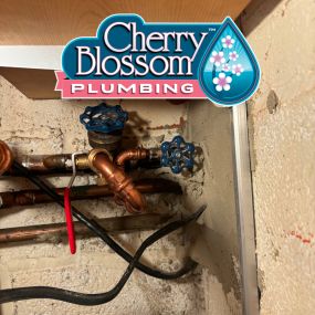 Bild von Cherry Blossom Plumbing