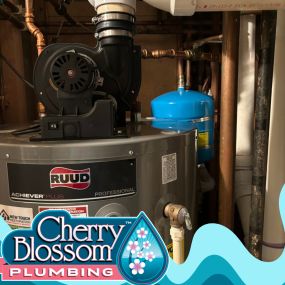 Bild von Cherry Blossom Plumbing