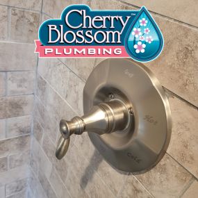 Bild von Cherry Blossom Plumbing