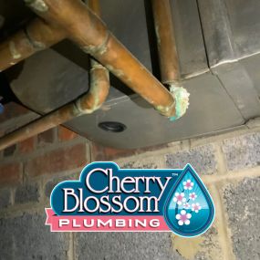 Bild von Cherry Blossom Plumbing