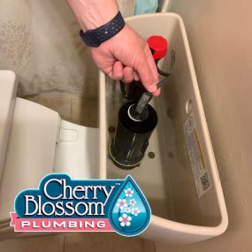 Bild von Cherry Blossom Plumbing