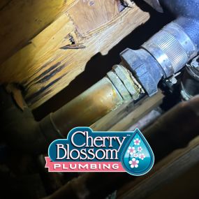 Bild von Cherry Blossom Plumbing