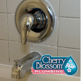 Bild von Cherry Blossom Plumbing