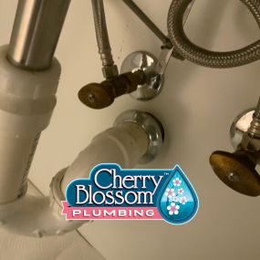 Bild von Cherry Blossom Plumbing