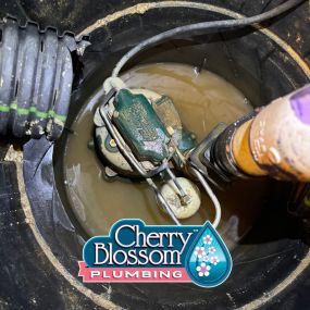 Bild von Cherry Blossom Plumbing