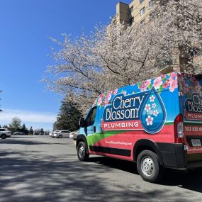 Bild von Cherry Blossom Plumbing