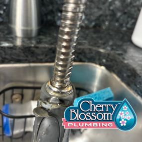 Bild von Cherry Blossom Plumbing