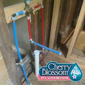 Bild von Cherry Blossom Plumbing