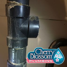 Bild von Cherry Blossom Plumbing