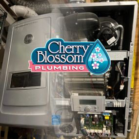 Bild von Cherry Blossom Plumbing