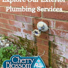 Bild von Cherry Blossom Plumbing