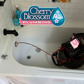 Bild von Cherry Blossom Plumbing