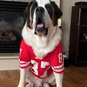 Happy National Love Your Pets Day! Here are a few of our office favorites: Amadeus, FN, Guacamole, Kelce, Kobe, Strider, and Turbo.