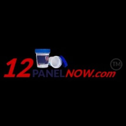 Logotipo de 12 Panel Now