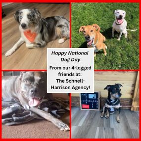 Happy National Dog Day!!!!

If you have any 4-legged fur babies in your life, give them an extra scratch from all of us here at The Schnell-Harrison Agency!