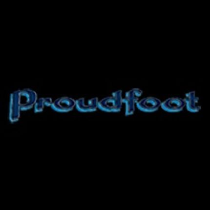 Logo van Proudfoot Plumbing, Heating and Air