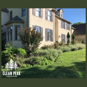 Bild von Clean Peak Landscaping