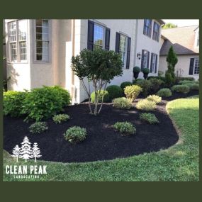 Bild von Clean Peak Landscaping