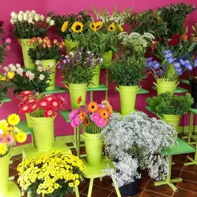 fleurs de la fleuriste les floriades à Houdeng goegnies