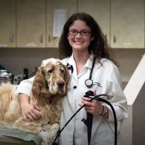 Bild von Virginia Veterinary Centers - Midlothian