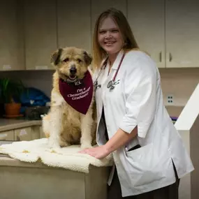 Bild von Virginia Veterinary Centers - Midlothian