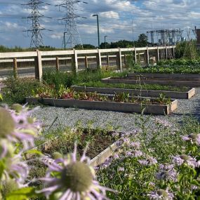 Ridge Hill Community Garden