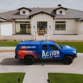 Bild von ACTION Termite & Pest Control