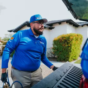 Bild von ACTION Termite & Pest Control