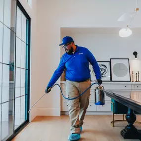 Bild von ACTION Termite & Pest Control