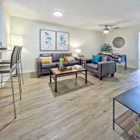 University Walk - Living Room